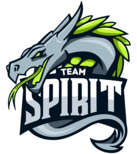 Team Spirit esportsonly.com