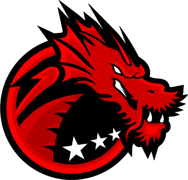 Binary Dragons team logo esportsonly.com,