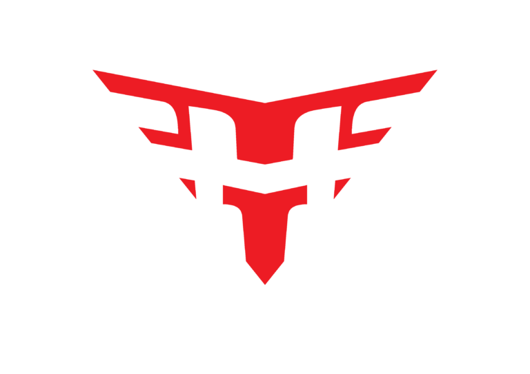 Heroic: Best Esports Team Review at EsportsOnly.com